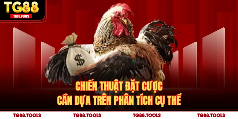 Chiến thuật đặt cược cần dựa trên phân tích cụ thể
